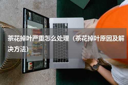 茶花掉叶严重怎么处理（茶花掉叶原因及解决方法）