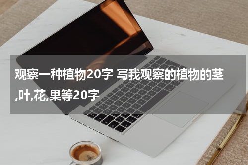 观察一种植物20字 写我观察的植物的茎,叶,花,果等20字
