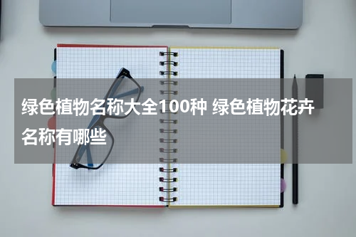 绿色植物名称大全100种 绿色植物花卉名称有哪些