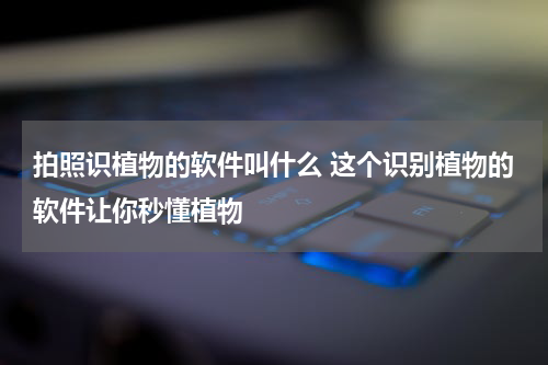 拍照识植物的软件叫什么 这个识别植物的软件让你秒懂植物
