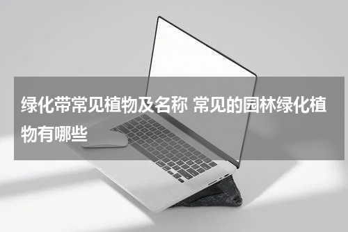 绿化带常见植物及名称 常见的园林绿化植物有哪些