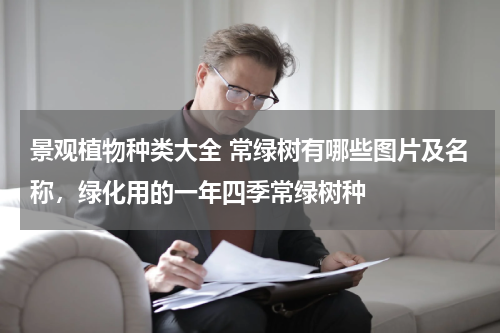 景观植物种类大全 常绿树有哪些图片及名称，绿化用的一年四季常绿树种