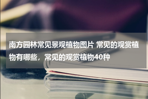 南方园林常见景观植物图片 常见的观赏植物有哪些，常见的观赏植物40种