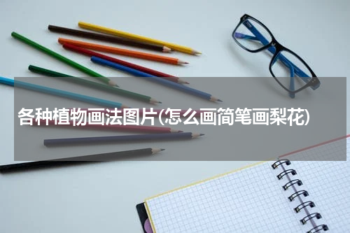 各种植物画法图片(怎么画简笔画梨花)