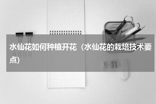 水仙花如何种植开花（水仙花的栽培技术要点）