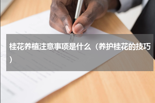 桂花养植注意事项是什么（养护桂花的技巧）
