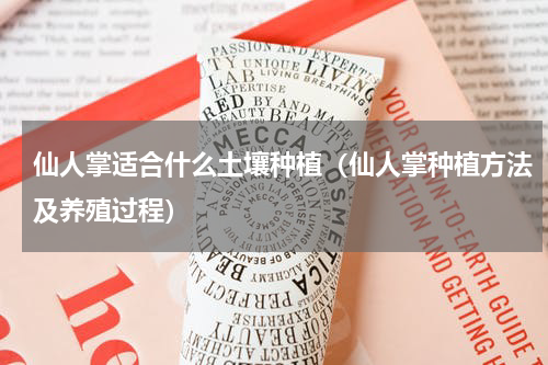 仙人掌适合什么土壤种植（仙人掌种植方法及养殖过程）