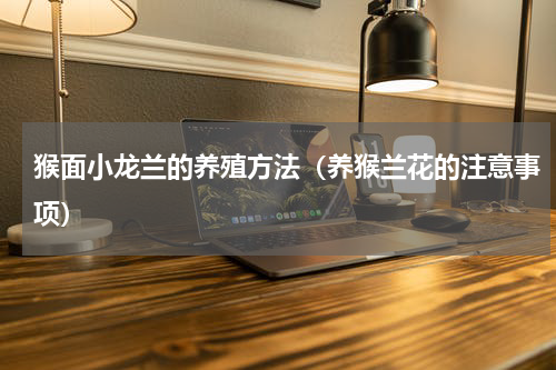 猴面小龙兰的养殖方法（养猴兰花的注意事项）