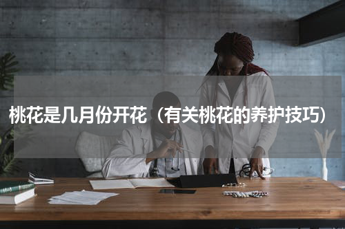 桃花是几月份开花（有关桃花的养护技巧）