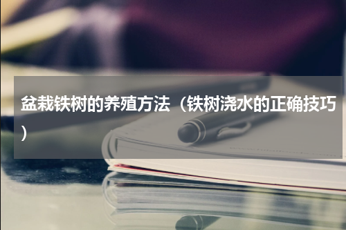 盆栽铁树的养殖方法（铁树浇水的正确技巧）