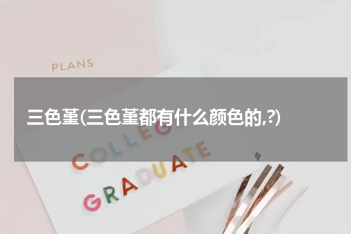 三色堇(三色堇都有什么颜色的,?)
