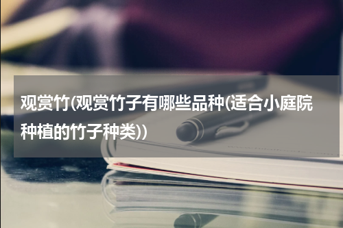 观赏竹(观赏竹子有哪些品种(适合小庭院种植的竹子种类))