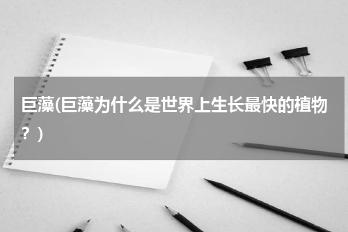 巨藻(巨藻为什么是世界上生长最快的植物？)