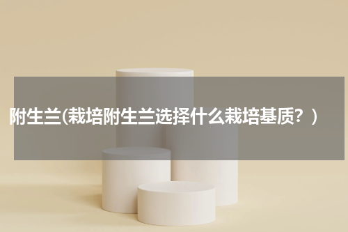 附生兰(栽培附生兰选择什么栽培基质？)