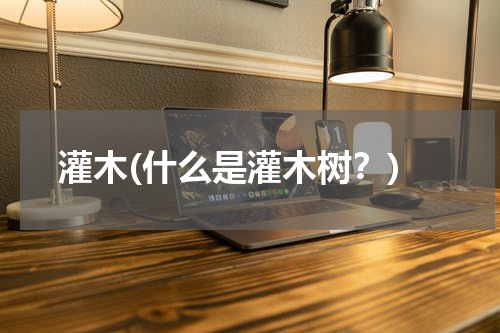 灌木(什么是灌木树？)