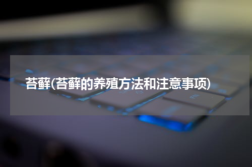 苔藓(苔藓的养殖方法和注意事项)