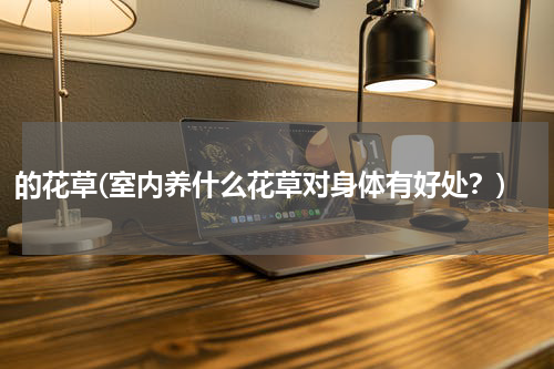 的花草(室内养什么花草对身体有好处？)