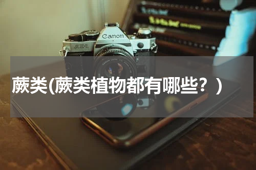 蕨类(蕨类植物都有哪些？)
