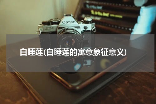 白睡莲(白睡莲的寓意象征意义)