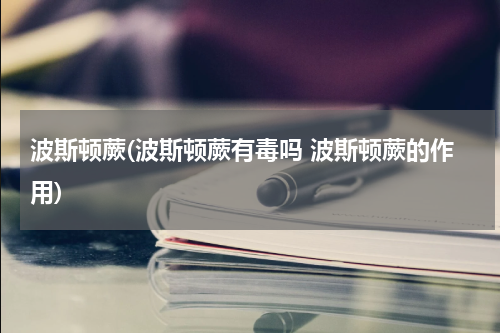 波斯顿蕨(波斯顿蕨有毒吗 波斯顿蕨的作用)