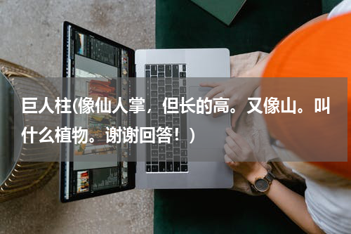 巨人柱(像仙人掌，但长的高。又像山。叫什么植物。谢谢回答！)