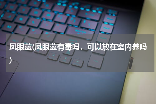 凤眼蓝(凤眼蓝有毒吗，可以放在室内养吗)