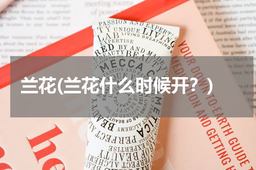 兰花(兰花什么时候开？)