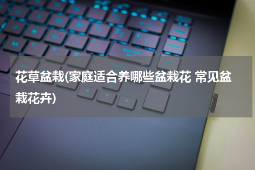 花草盆栽(家庭适合养哪些盆栽花 常见盆栽花卉)
