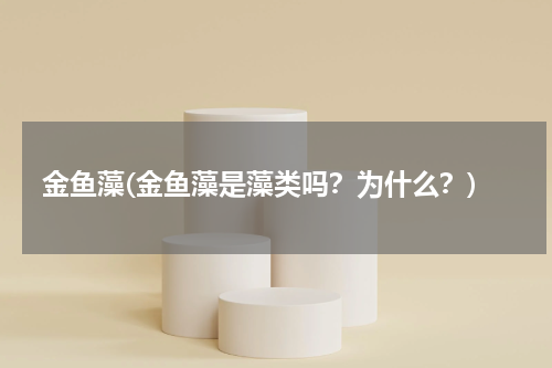 金鱼藻(金鱼藻是藻类吗？为什么？)