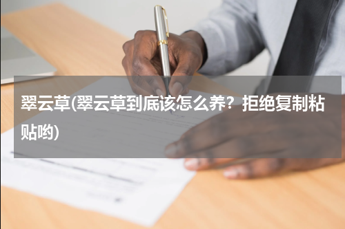 翠云草(翠云草到底该怎么养？拒绝复制粘贴哟)
