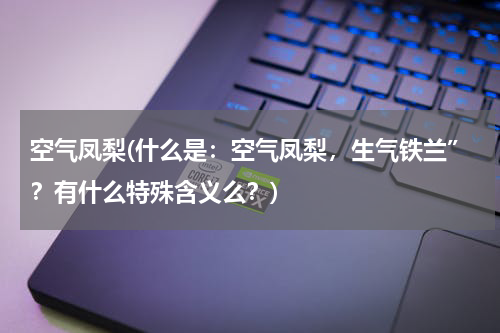 空气凤梨(什么是：空气凤梨，生气铁兰”？有什么特殊含义么？)