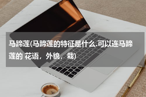 马蹄莲(马蹄莲的特征是什么.可以连马蹄莲的 花语，外貌，栽)