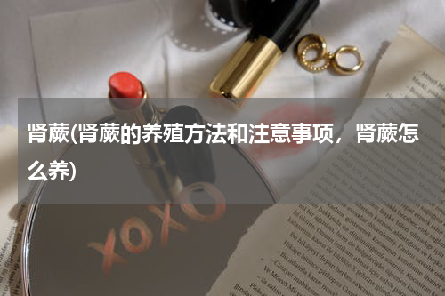 肾蕨(肾蕨的养殖方法和注意事项，肾蕨怎么养)