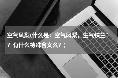空气凤梨(什么是：空气凤梨，生气铁兰”？有什么特殊含义么？)