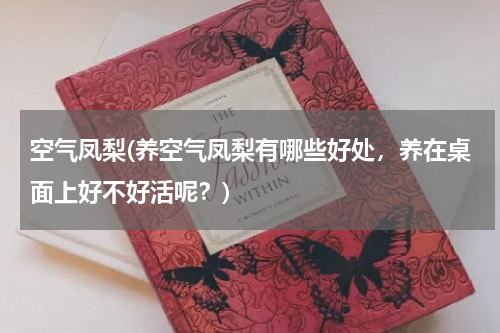 空气凤梨(养空气凤梨有哪些好处，养在桌面上好不好活呢？)