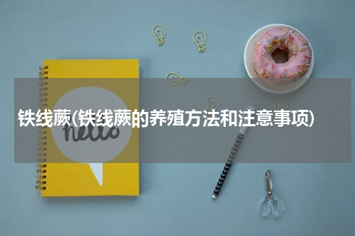 铁线蕨(铁线蕨的养殖方法和注意事项)