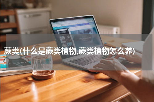 蕨类(什么是蕨类植物,蕨类植物怎么养)