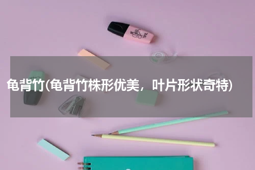 龟背竹(龟背竹株形优美，叶片形状奇特)