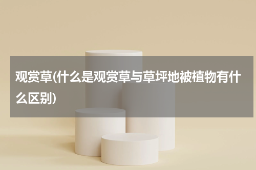 观赏草(什么是观赏草与草坪地被植物有什么区别)