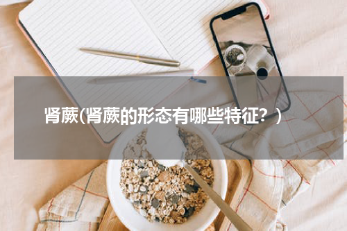 肾蕨(肾蕨的形态有哪些特征？)
