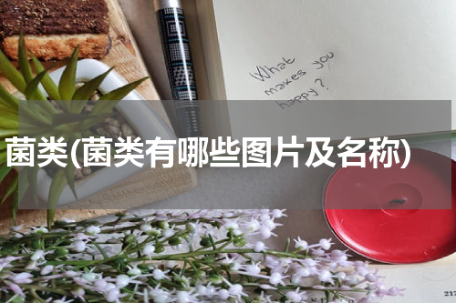 菌类(菌类有哪些图片及名称)