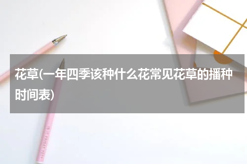 花草(一年四季该种什么花常见花草的播种时间表)