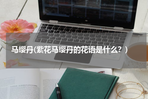 马缨丹(紫花马缨丹的花语是什么？)