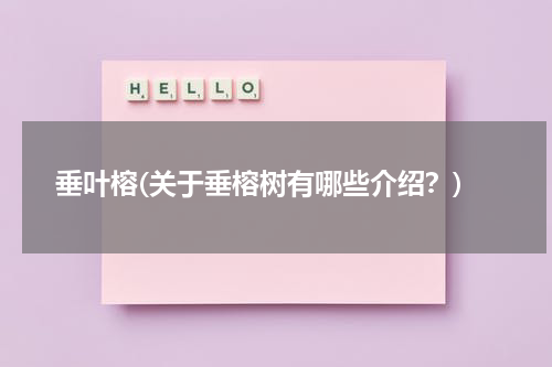 垂叶榕(关于垂榕树有哪些介绍？)