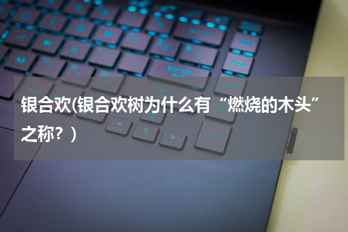 银合欢(银合欢树为什么有“燃烧的木头”之称？)