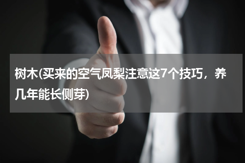 树木(买来的空气凤梨注意这7个技巧，养几年能长侧芽)