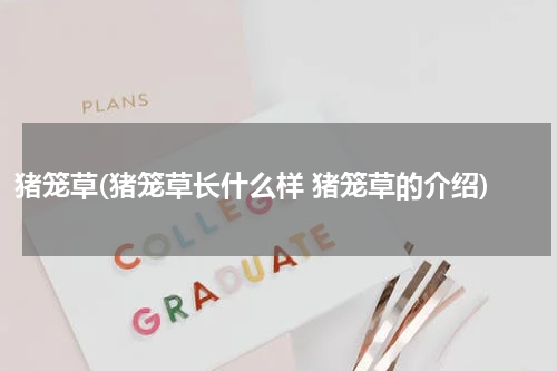猪笼草(猪笼草长什么样 猪笼草的介绍)