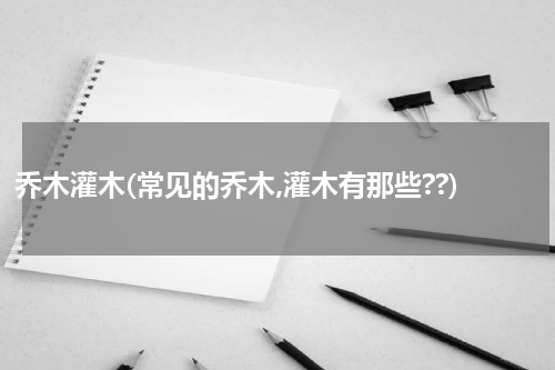 乔木灌木(常见的乔木,灌木有那些??)
