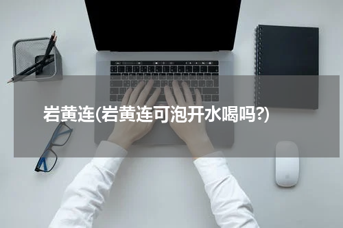 岩黄连(岩黄连可泡开水喝吗?)