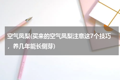 空气凤梨(买来的空气凤梨注意这7个技巧，养几年能长侧芽)